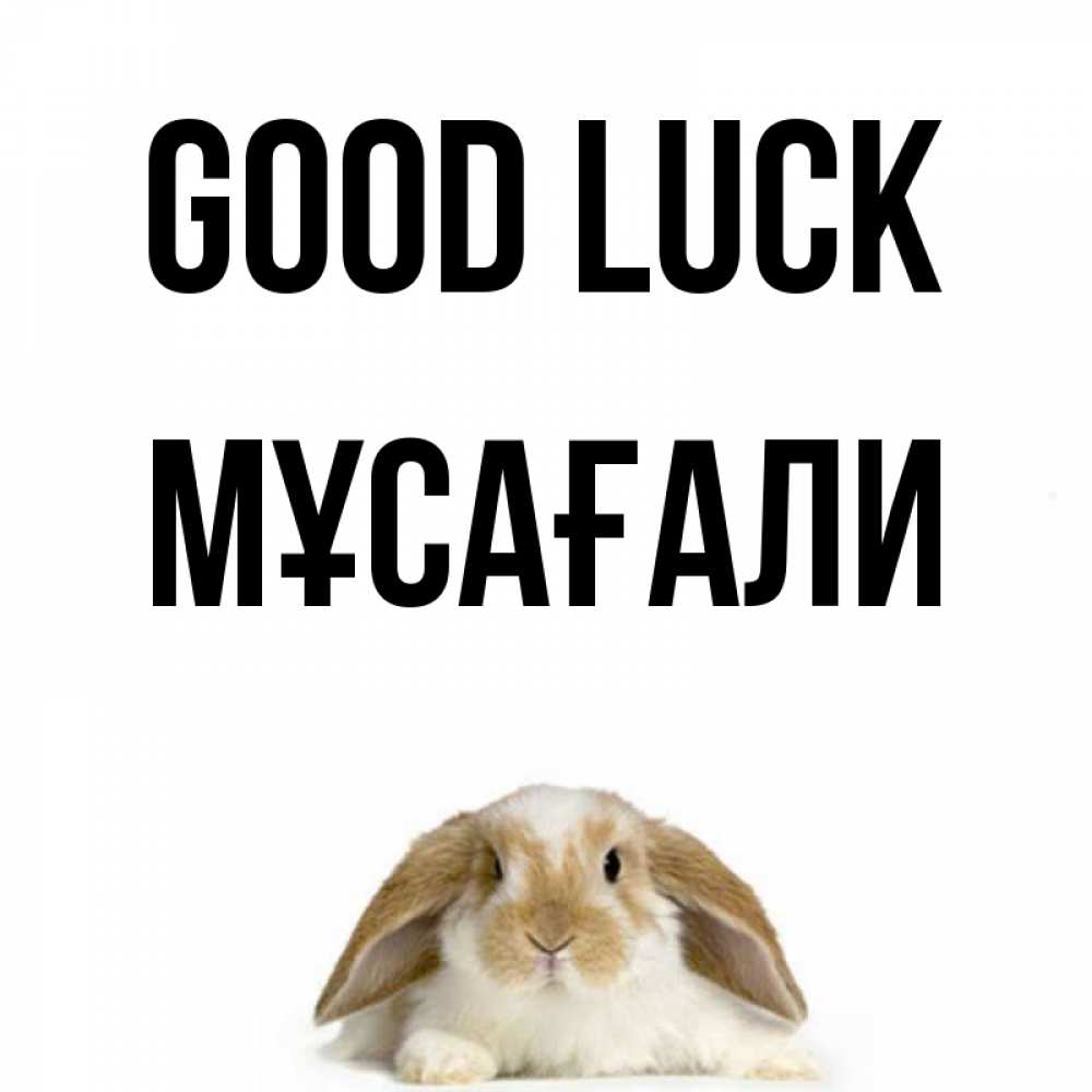 Greetings card с именем, Мұсағали Good luck открытки с произвольным текстом который можно вставить в открытку и создать ее самостоятельно бесплатно онлайн Greetings with text for free download 