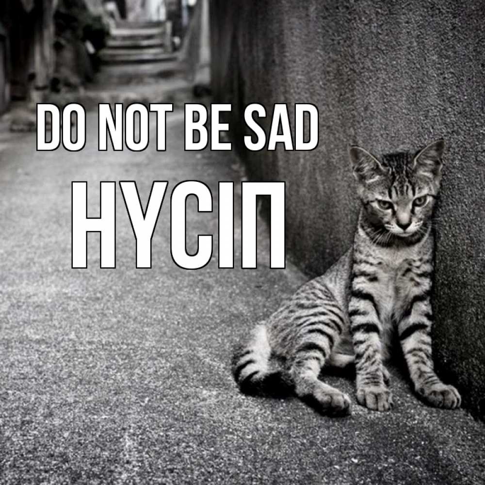 Greetings card с именем, НҮСІП Do not be sad скучающий котик Greetings with text for free download 
