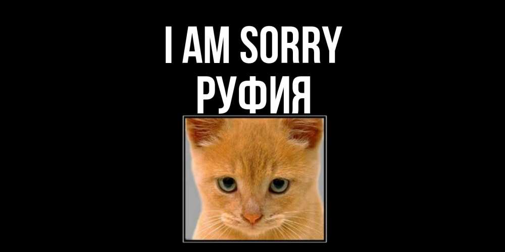 Greetings card с именем, РУФИЯ I am sorry рыжий грустный кот просит прощения Greetings with text for free download 