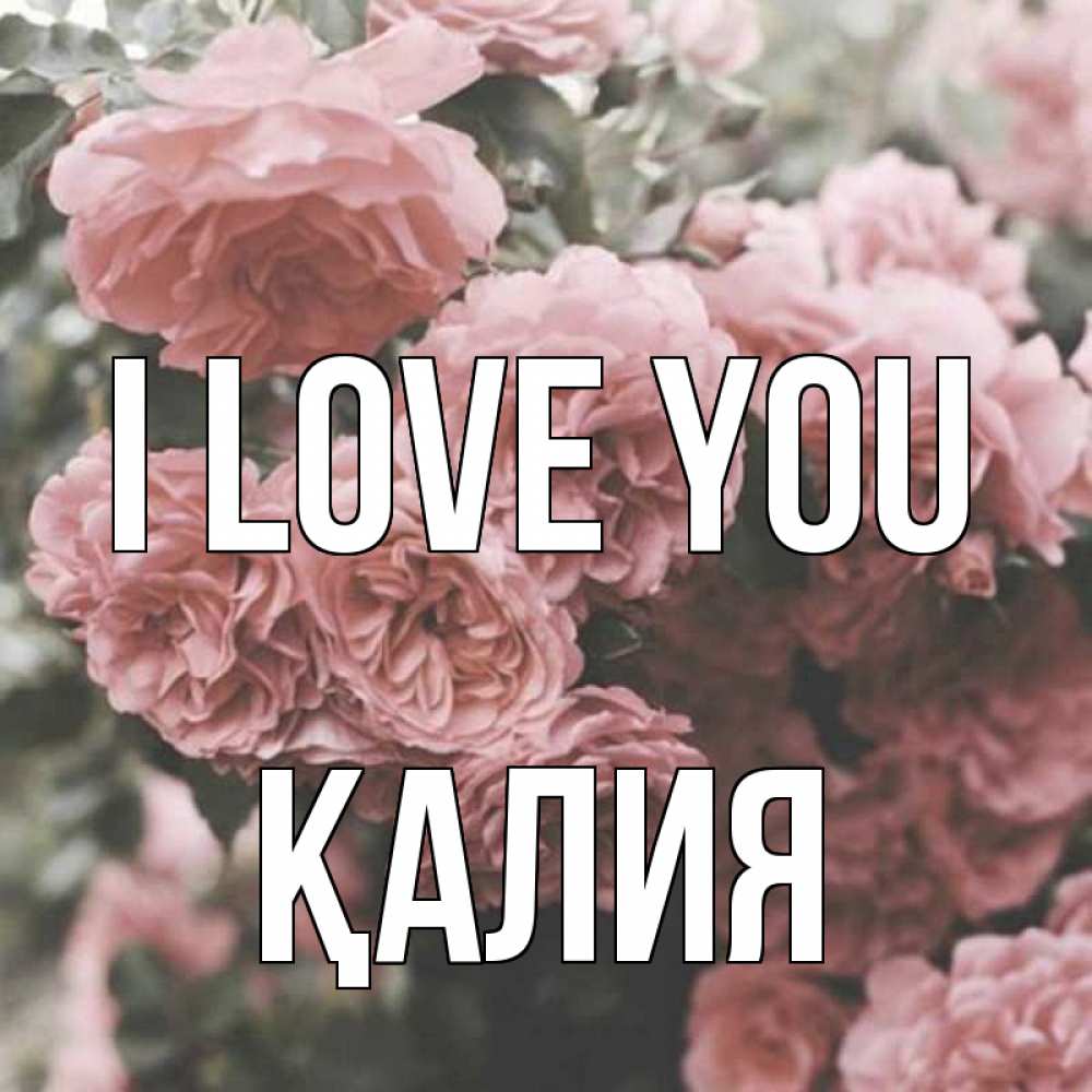 Greetings card с именем, ҚАЛИЯ I love you розы 3 Greetings with text for free download 