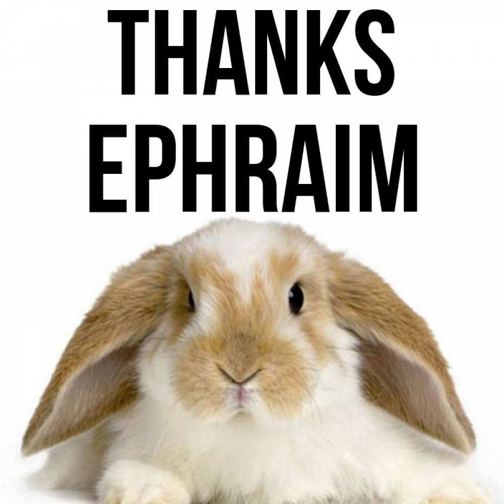 Greetings card с именем, Ephraim Thanks коричнево белый заяц Greetings with text for free download 