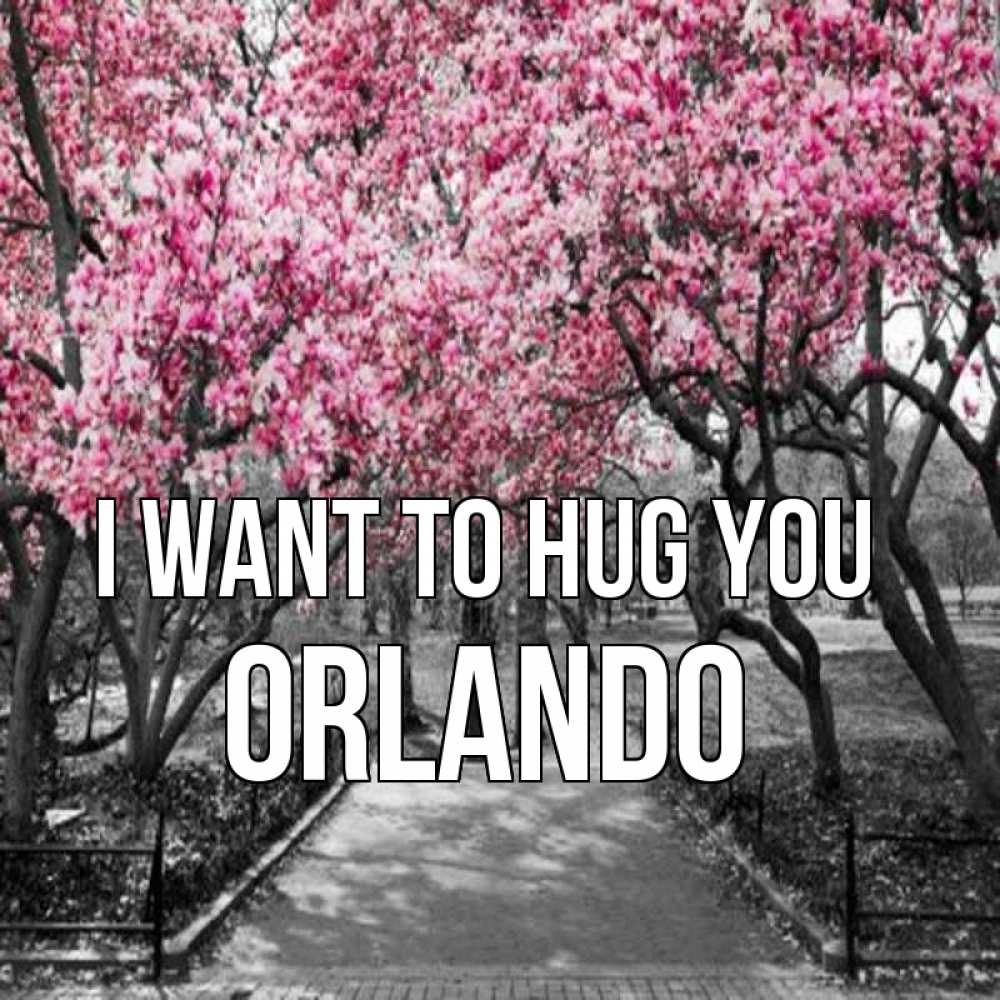 Greetings card с именем, Orlando I want to hug you обработанное фото Greetings with text for free download 