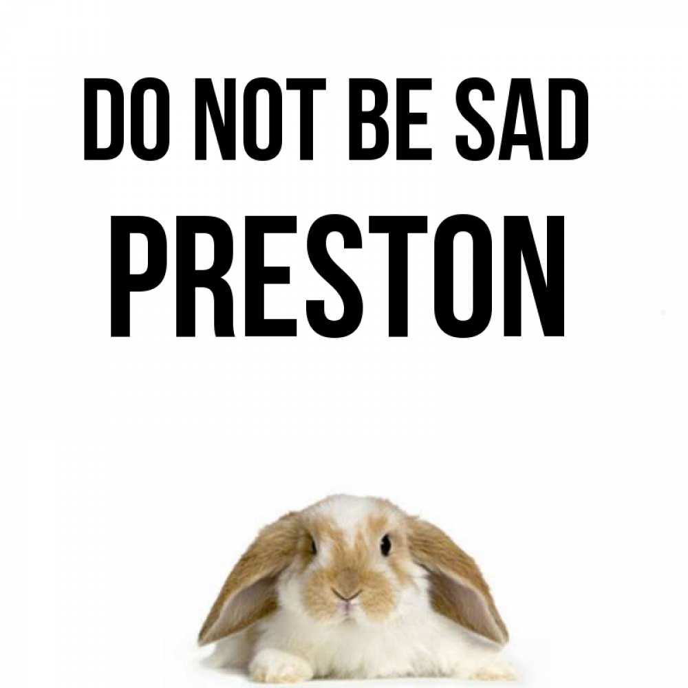 Greetings card с именем, Preston Do not be sad коричнево белый заяц с большими ушками Greetings with text for free download 