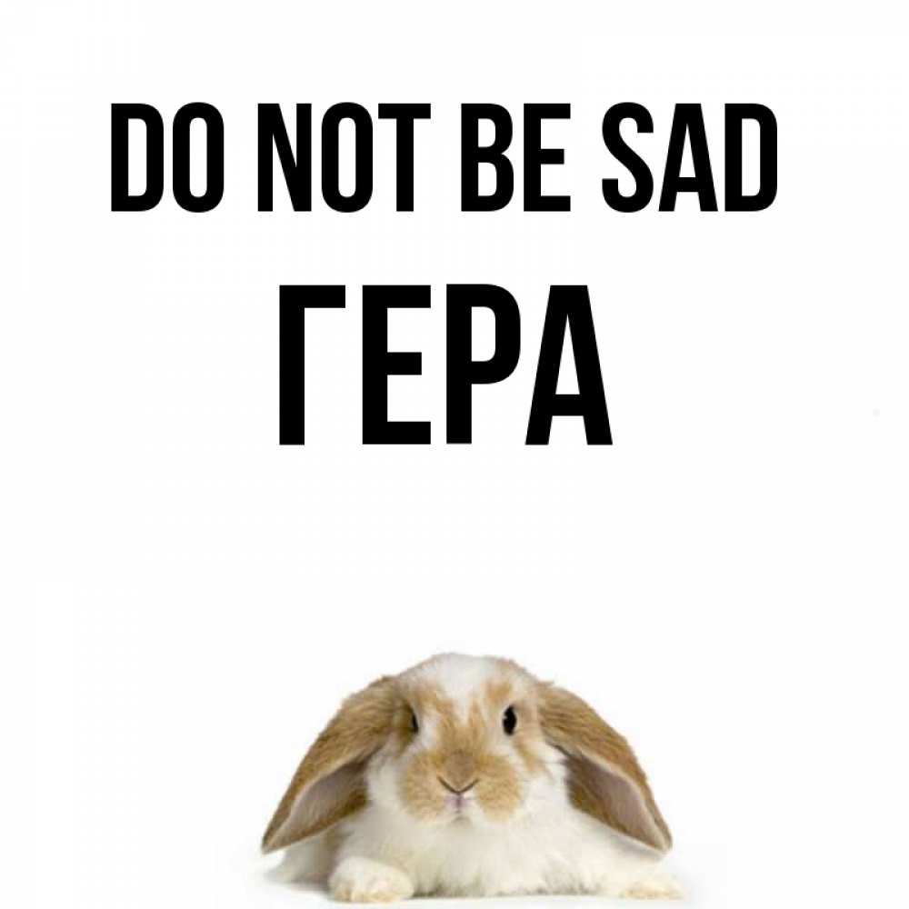 Greetings card с именем, Гера Do not be sad коричнево белый заяц с большими ушками Greetings with text for free download 