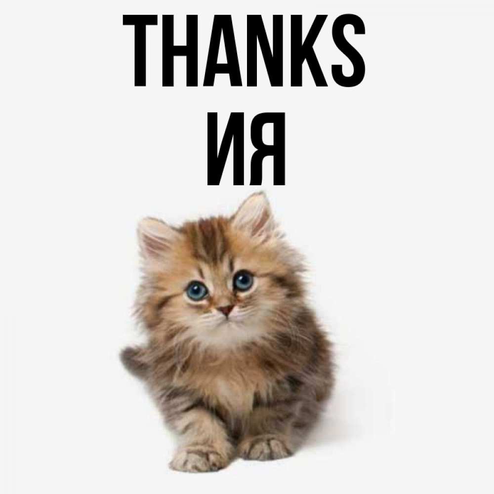 Greetings card с именем, Ия Thanks пушистый котик Greetings with text for free download 