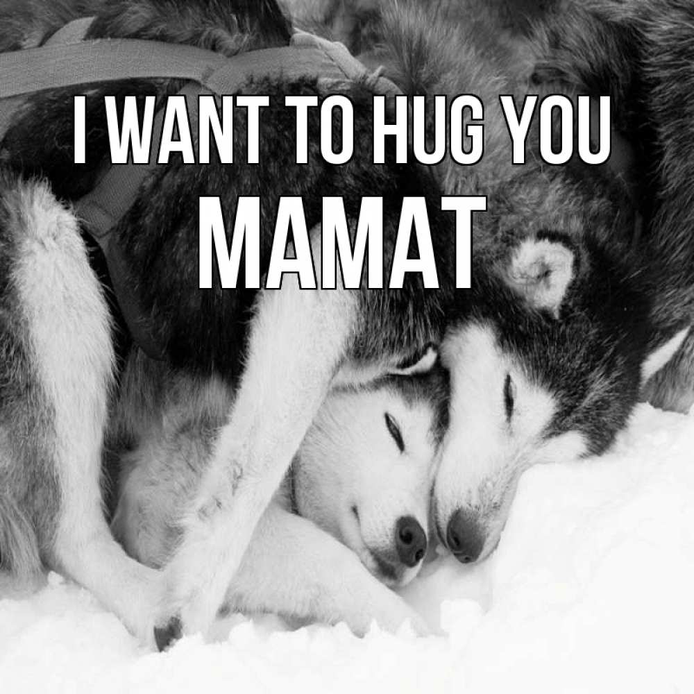 Greetings card с именем, МАМАТ I want to hug you собачки в упряжке Greetings with text for free download 