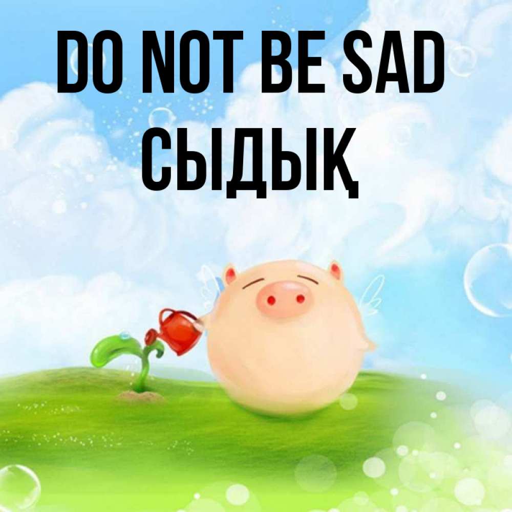 Greetings card с именем, СЫДЫҚ Do not be sad поливает цветок порося Greetings with text for free download 