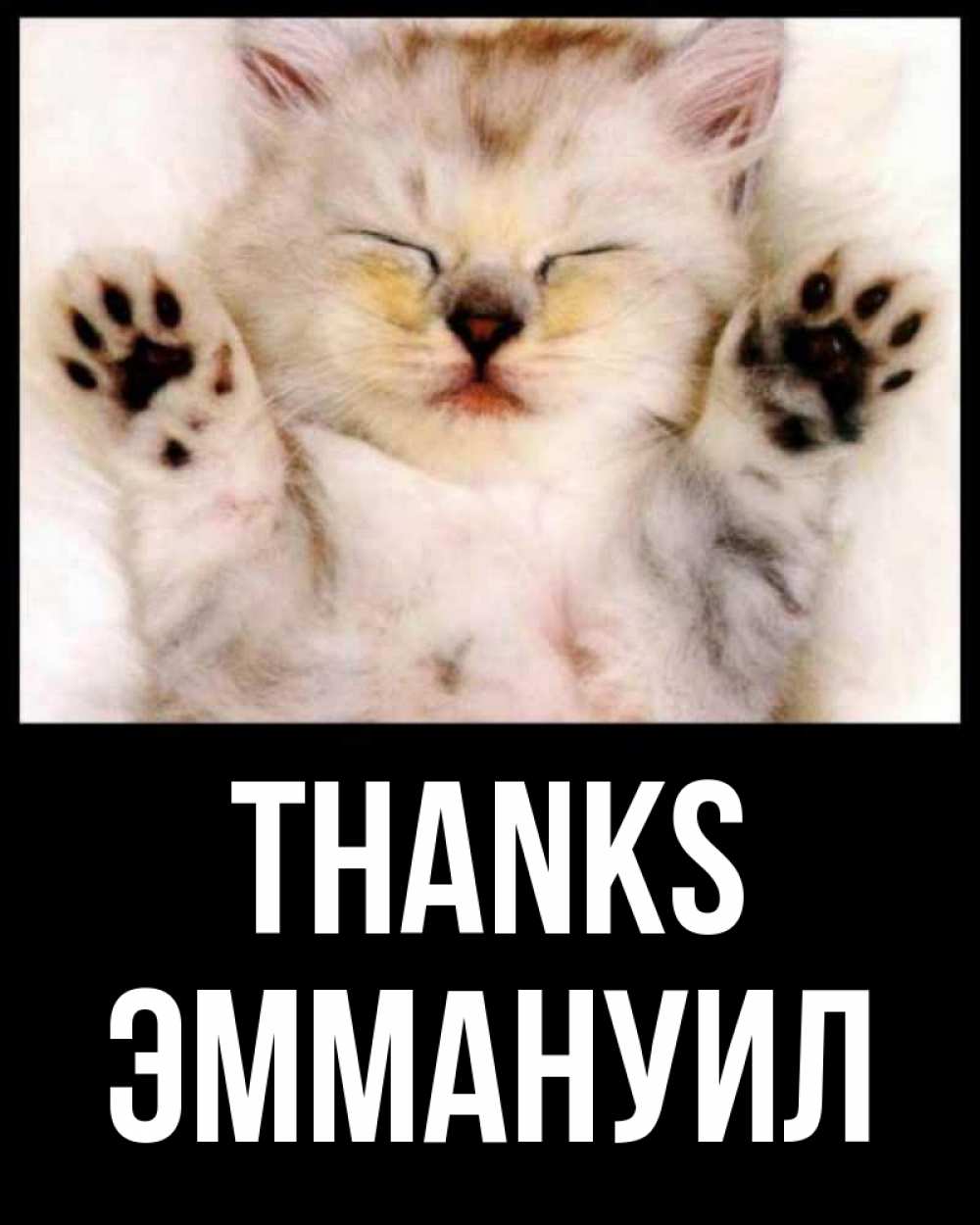 Greetings card с именем, Эммануил Thanks маленький котенок Greetings with text for free download 