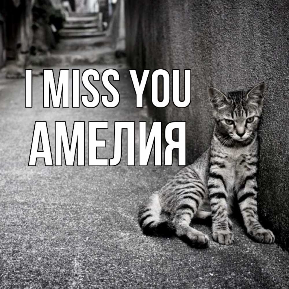 Greetings card с именем, Амелия I miss you одиноко котику Greetings with text for free download 