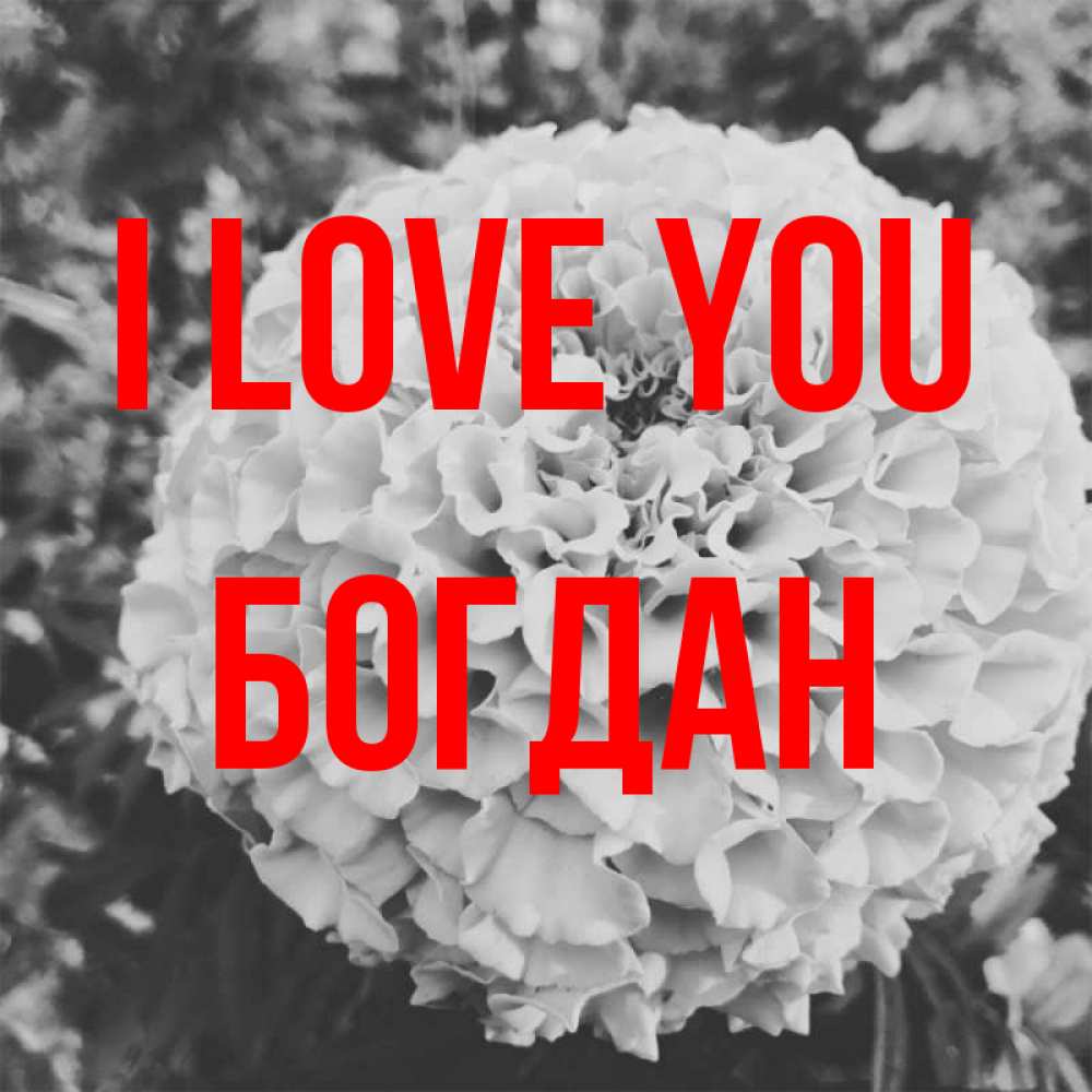Greetings card с именем, Богдан I love you подпись Greetings with text for free download 