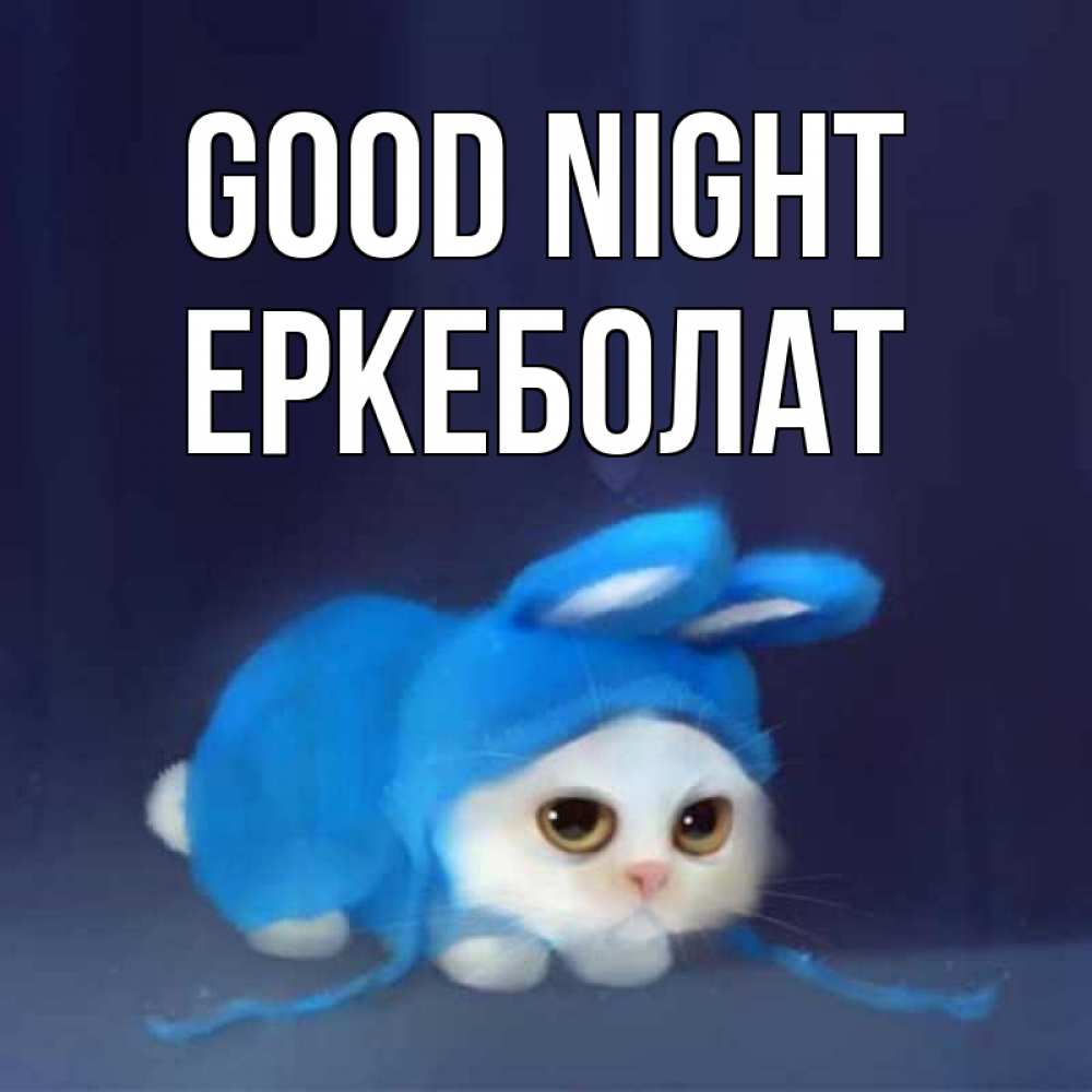 Greetings card с именем, Еркеболат Good night кот в голубом костюме кролика с ушками Greetings with text for free download 