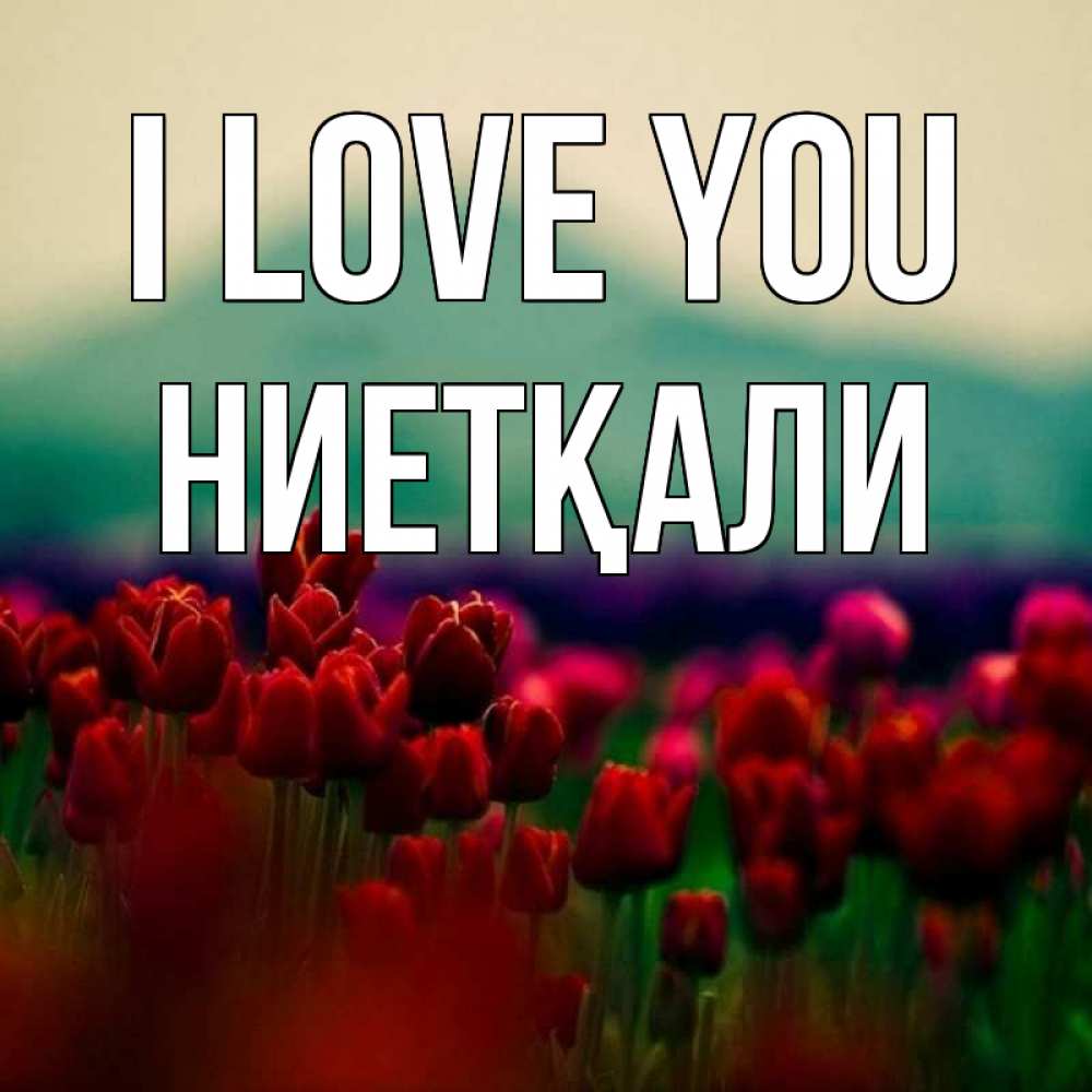 Greetings card с именем, НИЕТҚАЛИ I love you тюльпаны 4 Greetings with text for free download 
