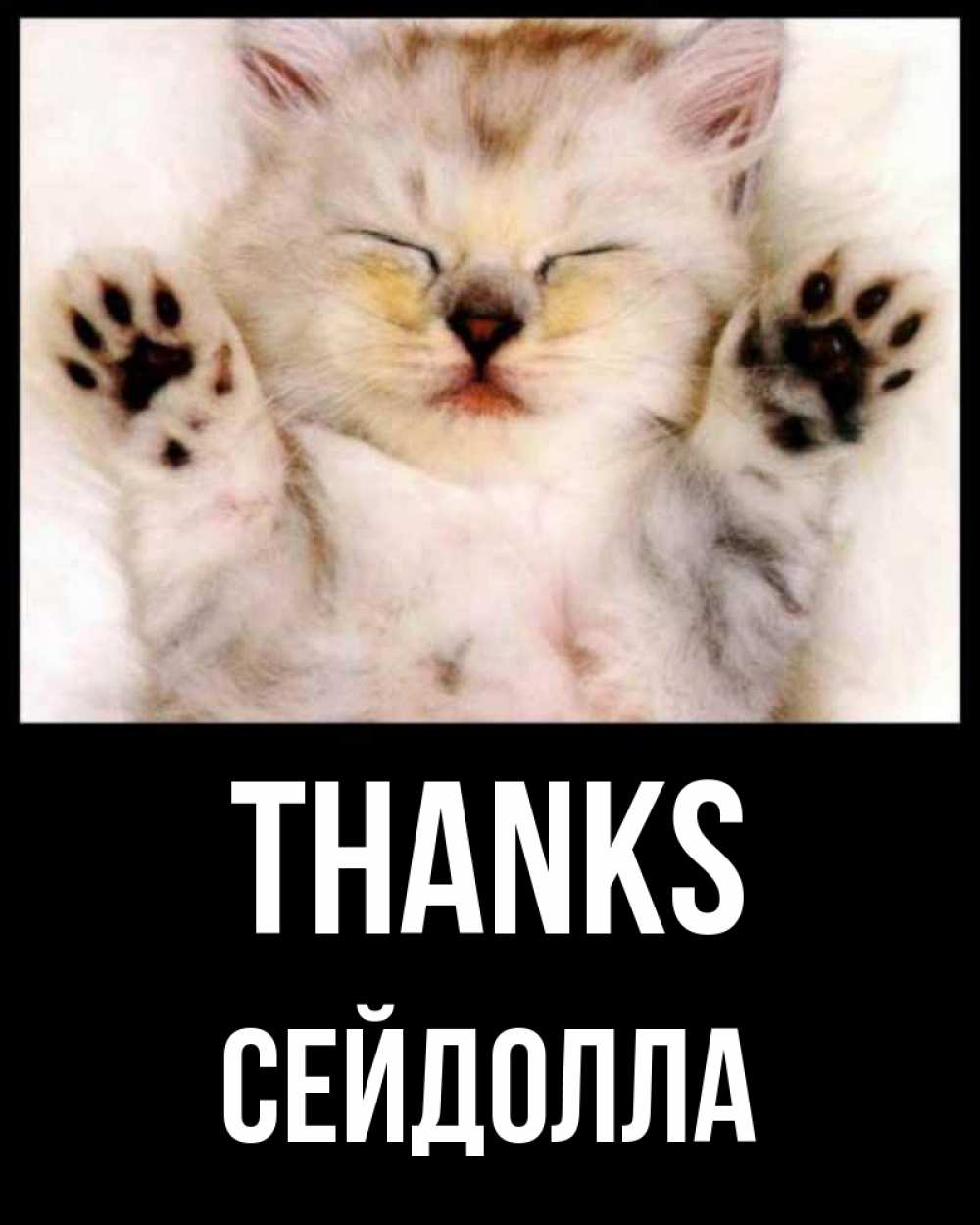 Greetings card с именем, СЕЙДОЛЛА Thanks маленький котенок Greetings with text for free download 