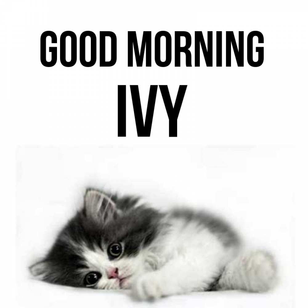 Greetings card с именем, Ivy Good morning кот лапки Greetings with text for free download 