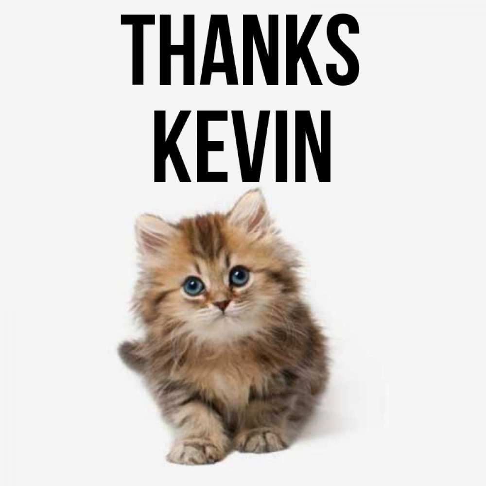 Greetings card с именем, Kevin Thanks пушистый котик Greetings with text for free download 