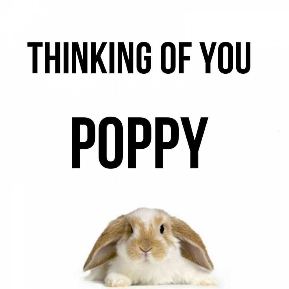 Greetings card с именем, Poppy Thinking of you подписать своими руками онлайн Greetings with text for free download 