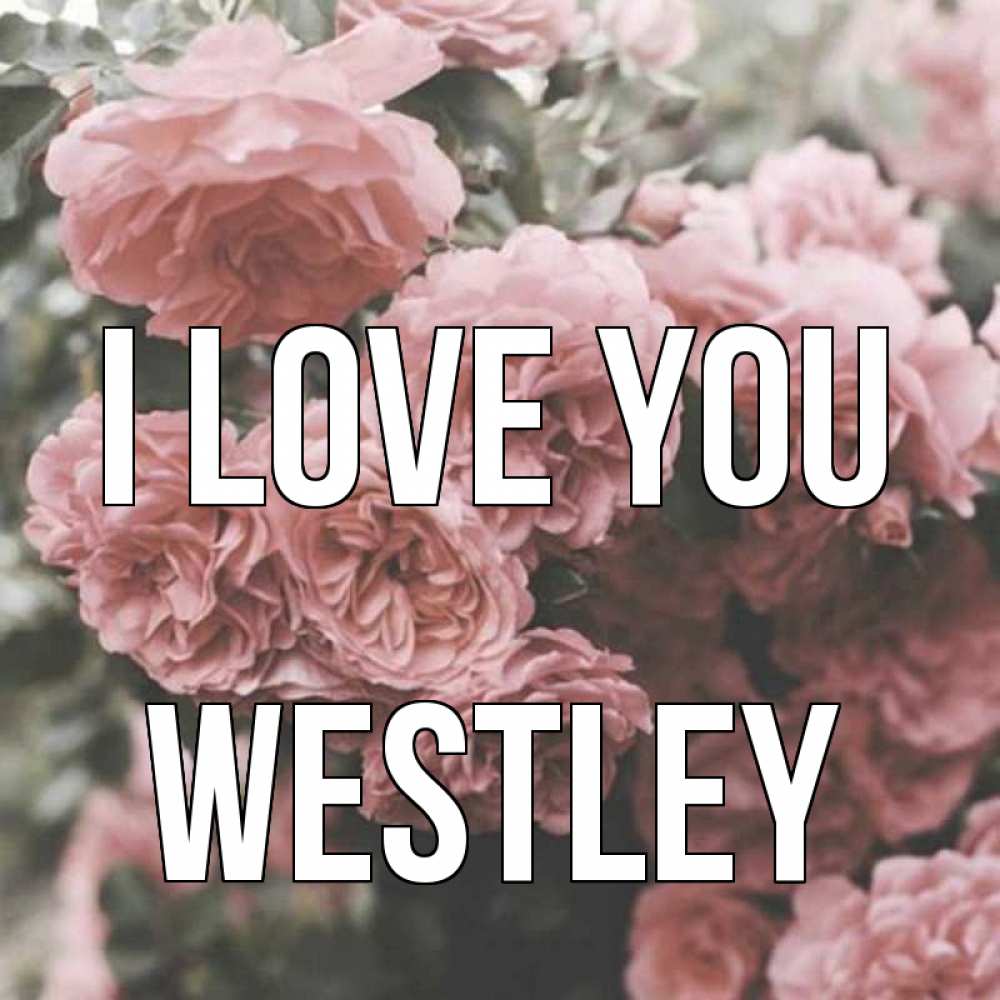 Greetings card с именем, Westley I love you розы 3 Greetings with text for free download 