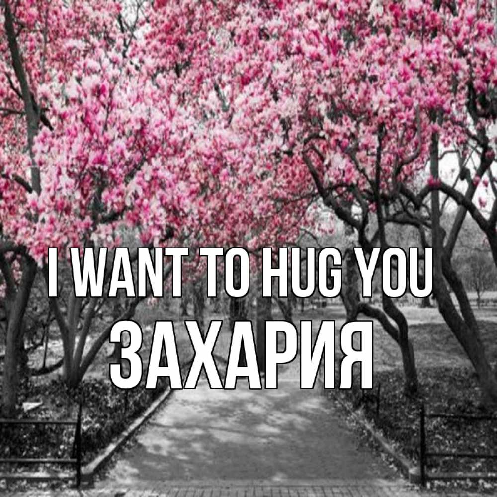 Greetings card с именем, Захария I want to hug you обработанное фото Greetings with text for free download 