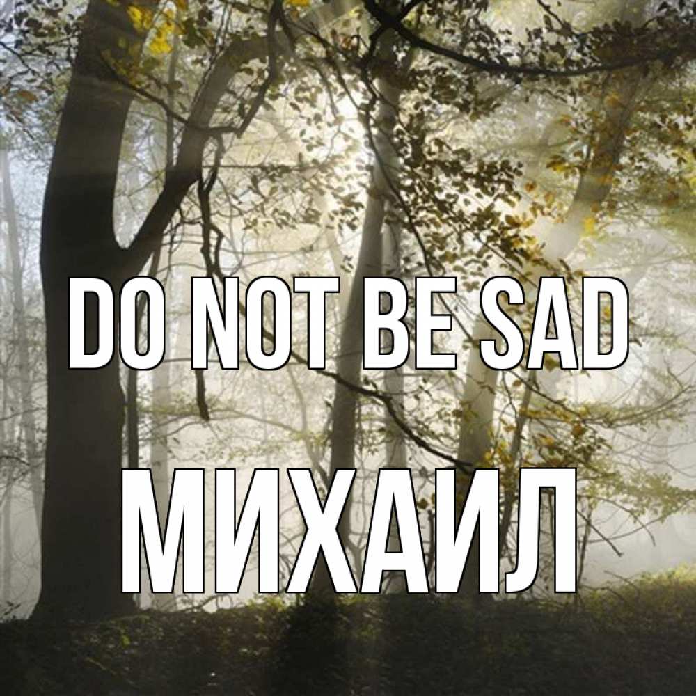 Greetings card с именем, Михаил Do not be sad лес и свет Greetings with text for free download 
