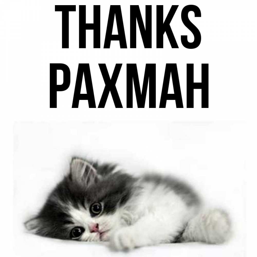 Greetings card с именем, РАХМАН Thanks черный и белый кот Greetings with text for free download 