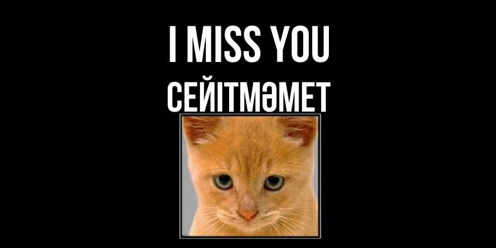 Greetings card с именем, СЕЙІТМӘМЕТ I miss you открытки рыжий котенок скучает по тебе Greetings with text for free download 