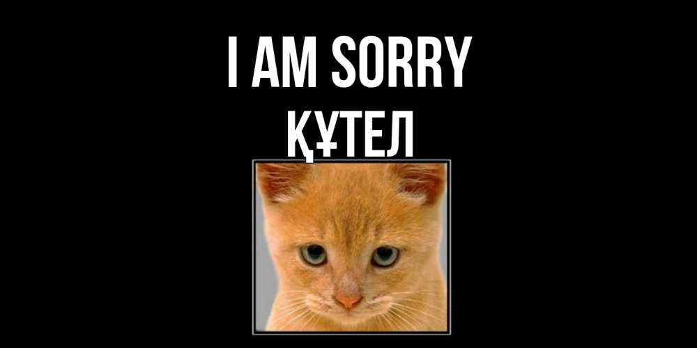 Greetings card с именем, ҚҰТЕЛ I am sorry рыжий грустный кот просит прощения Greetings with text for free download 
