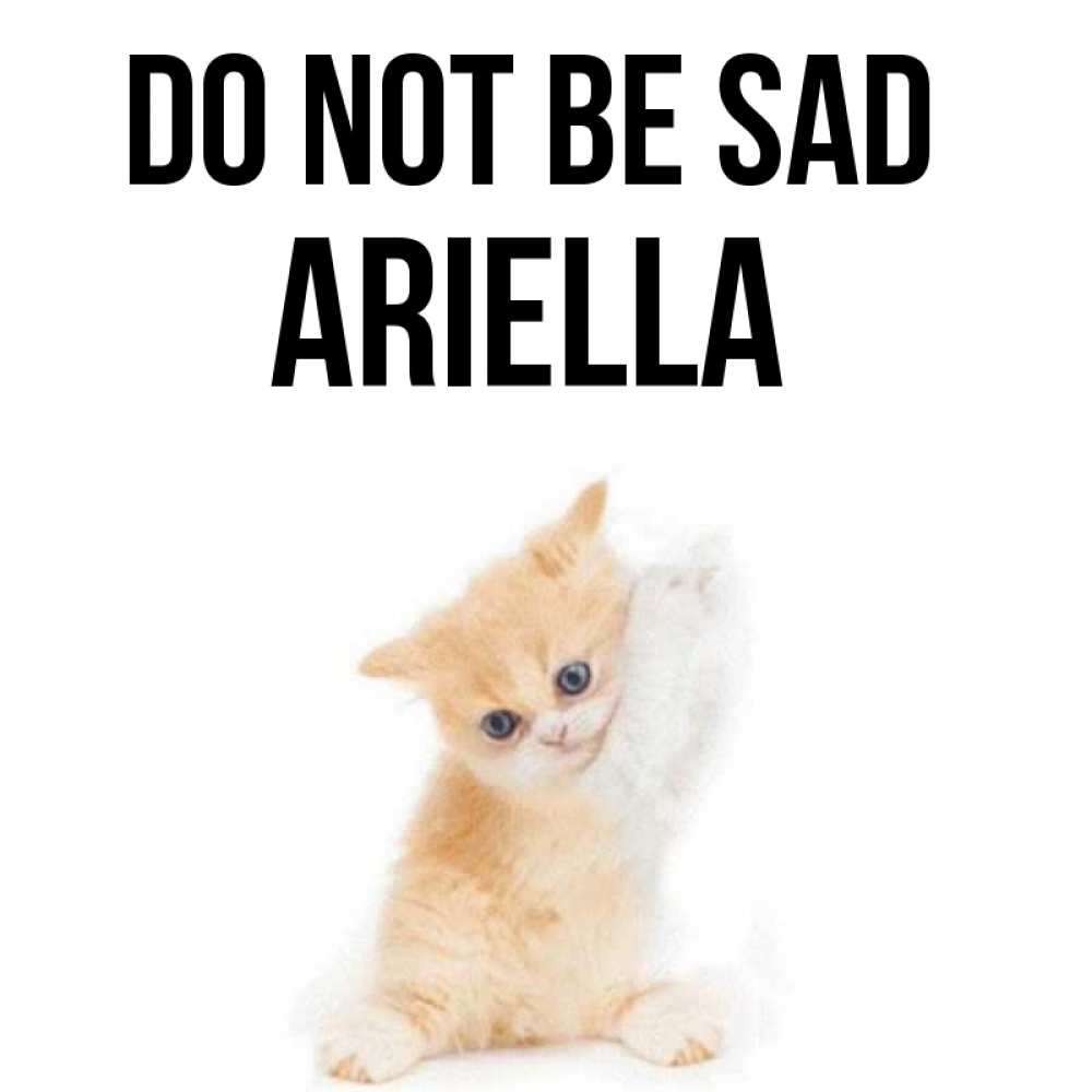 Greetings card с именем, Ariella Do not be sad просящий кот Greetings with text for free download 