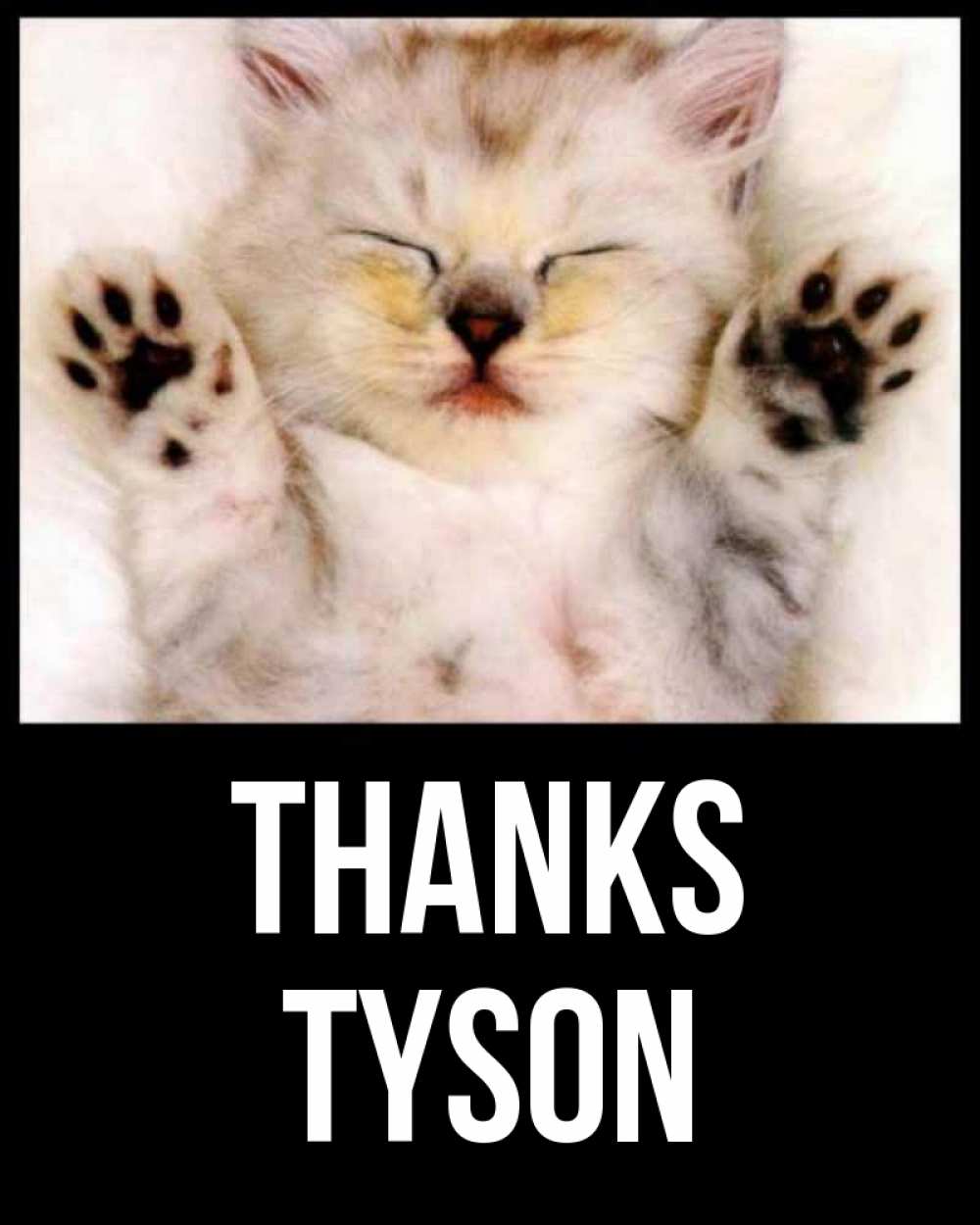 Greetings card с именем, Tyson Thanks маленький котенок Greetings with text for free download 