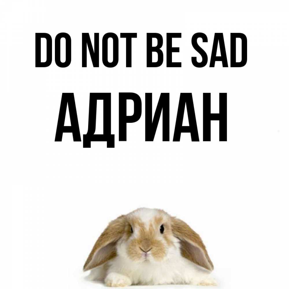 Greetings card с именем, Адриан Do not be sad коричнево белый заяц с большими ушками Greetings with text for free download 