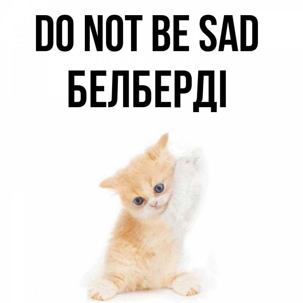 Greetings card с именем, Белберді Do not be sad просящий кот Greetings with text for free download 