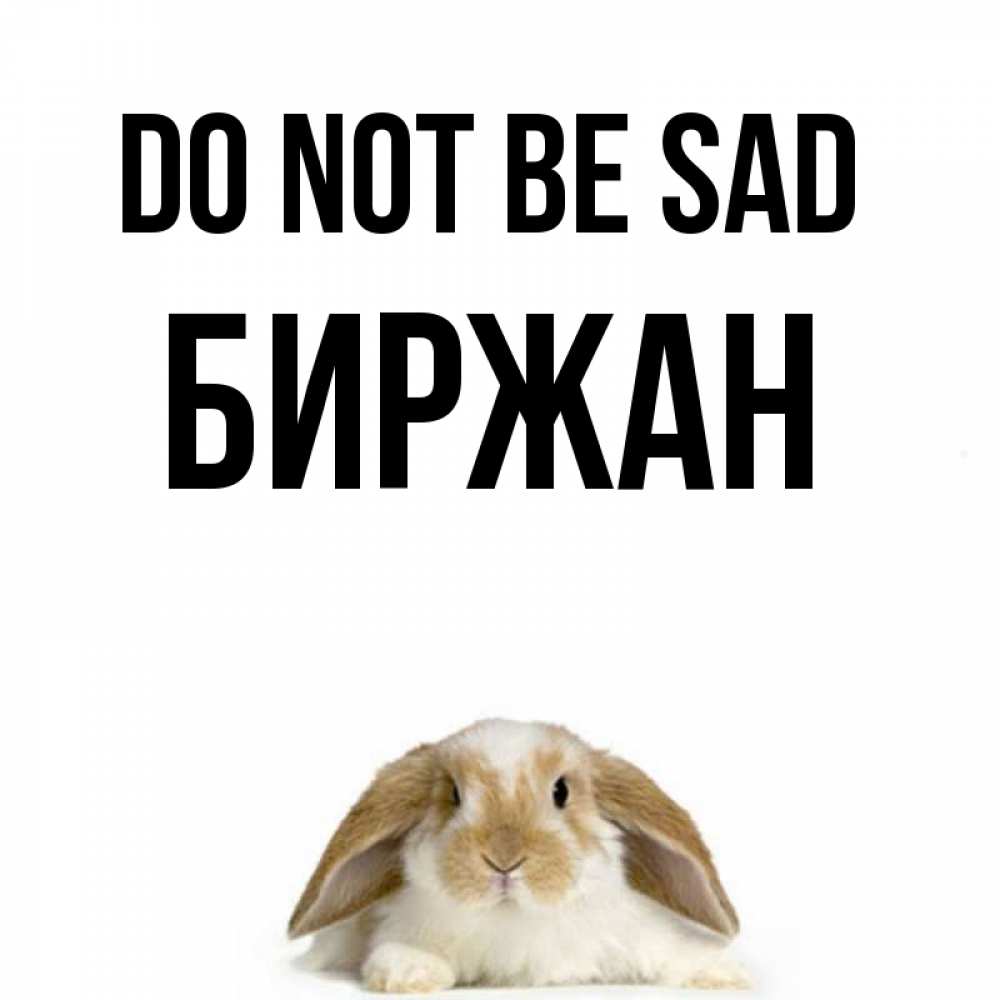 Greetings card с именем, Биржан Do not be sad коричнево белый заяц с большими ушками Greetings with text for free download 