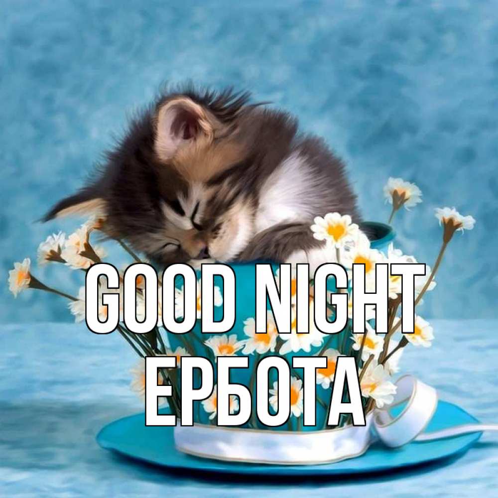 Greetings card с именем, Ербота Good night котенок спит в кружке с блюдцем Greetings with text for free download 