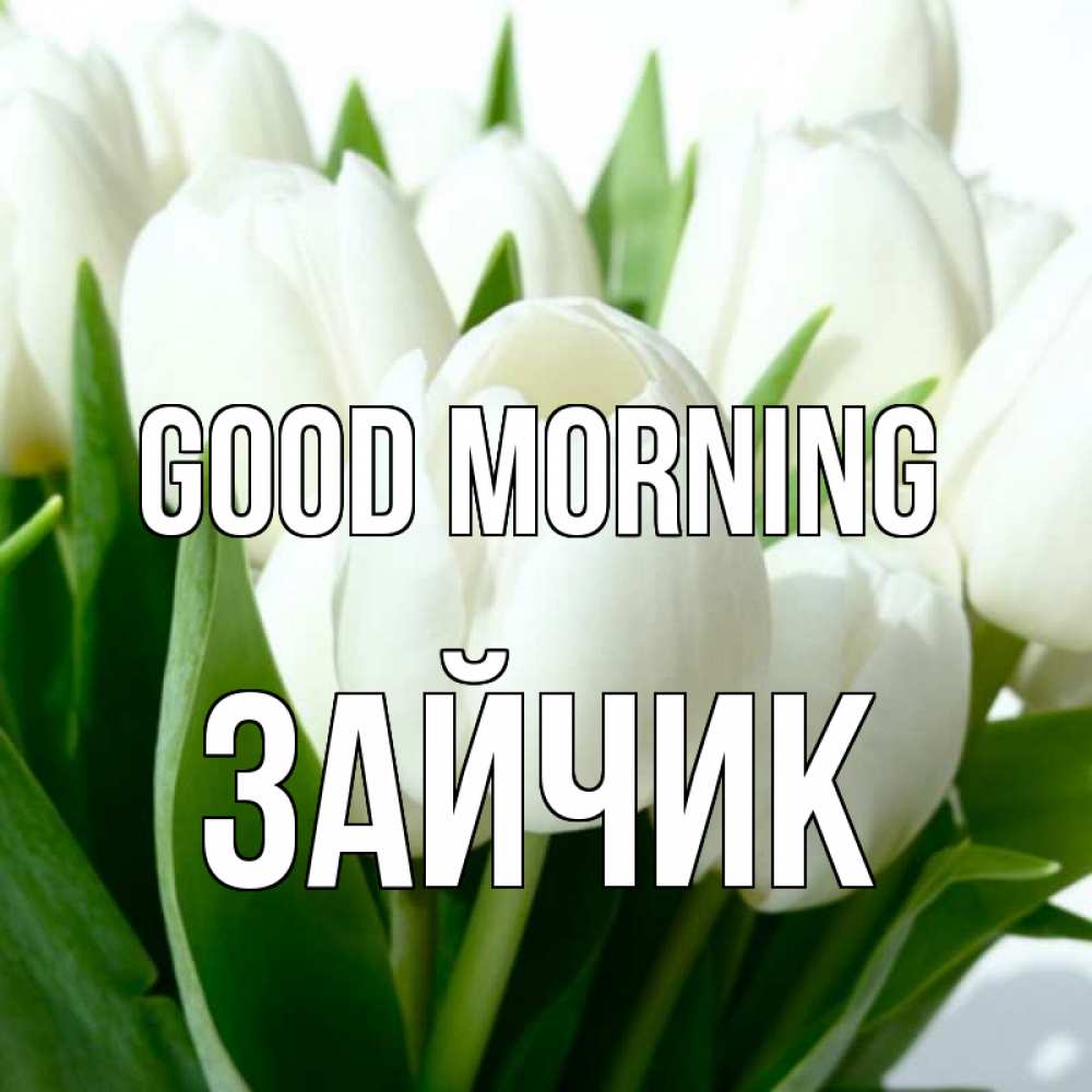 Greetings card с именем, Зайчик Good morning открытки на каждый день по именам Greetings with text for free download 