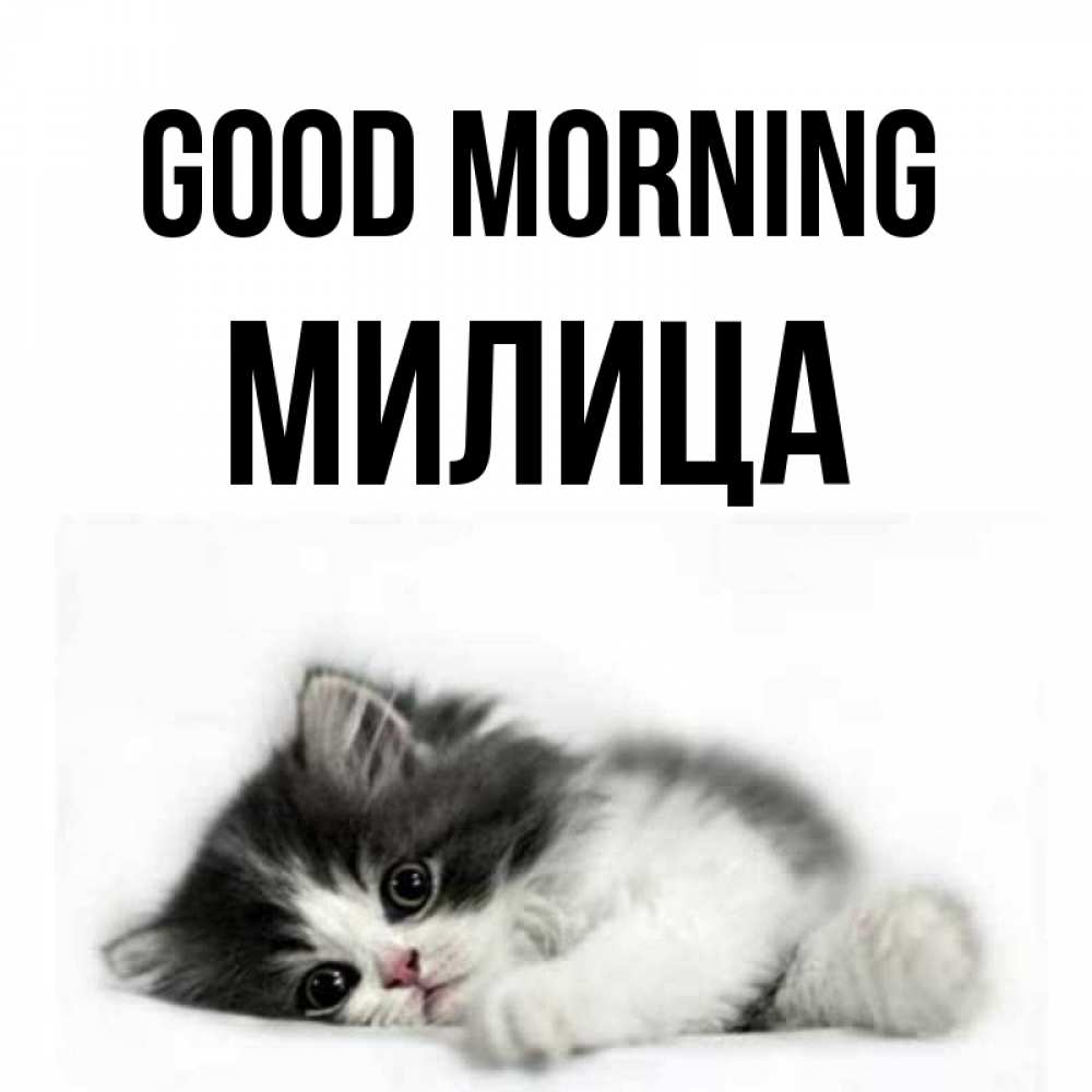 Greetings card с именем, Милица Good morning кот лапки Greetings with text for free download 