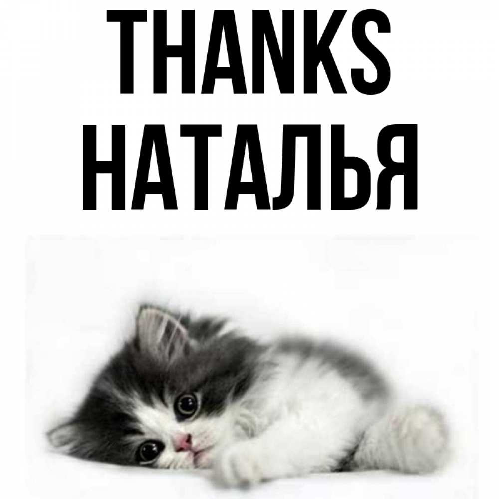 Greetings card с именем, Наталья Thanks черный и белый кот Greetings with text for free download 