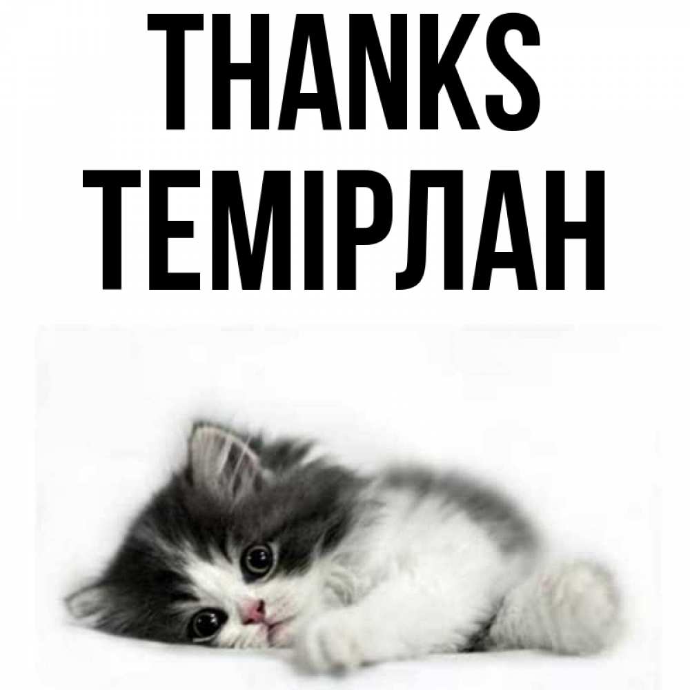 Greetings card с именем, ТЕМІРЛАН Thanks черный и белый кот Greetings with text for free download 