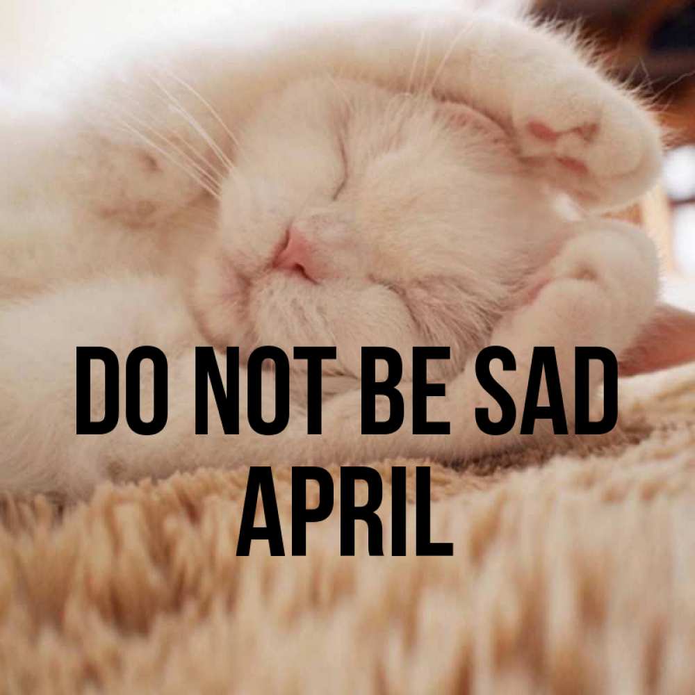 Greetings card с именем, April Do not be sad Котенок спит Greetings with text for free download 