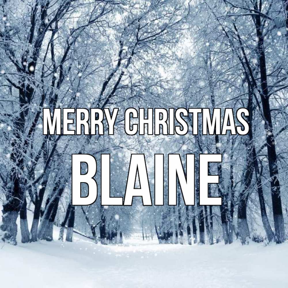 Greetings card с именем, Blaine Merry Christmas снег, лес, парк Greetings with text for free download 
