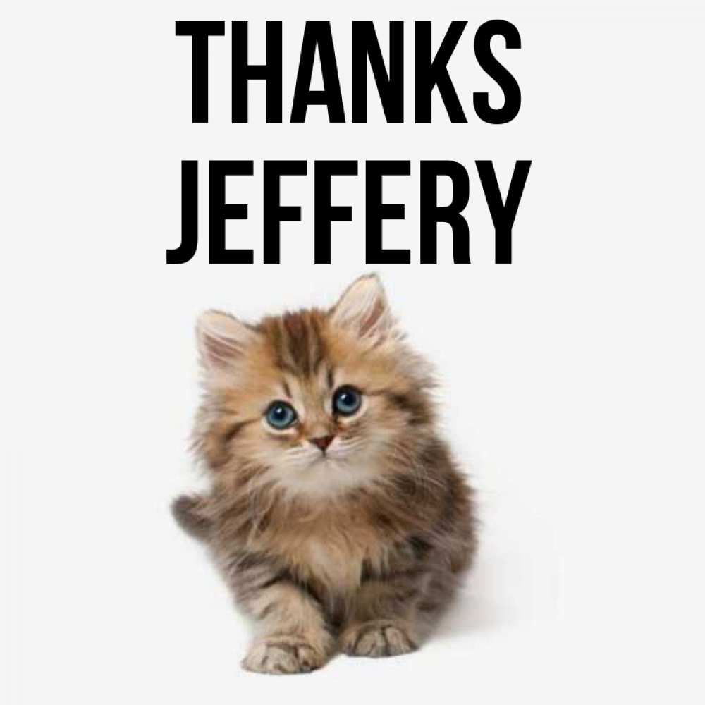 Greetings card с именем, Jeffery Thanks пушистый котик Greetings with text for free download 