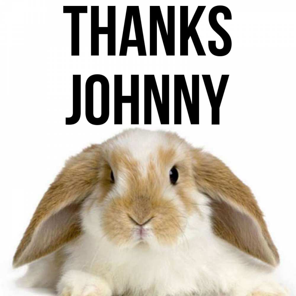 Greetings card с именем, Johnny Thanks коричнево белый заяц Greetings with text for free download 