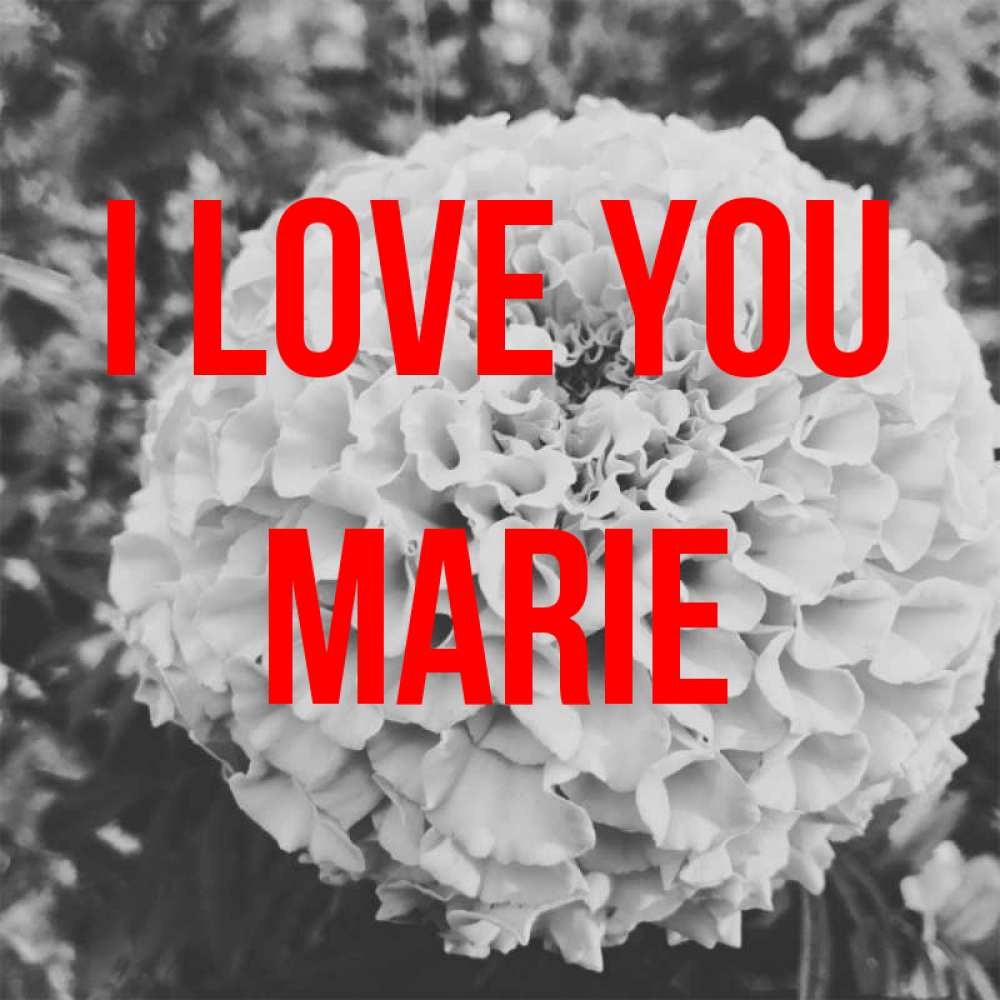 Greetings card с именем, Marie I love you подпись Greetings with text for free download 