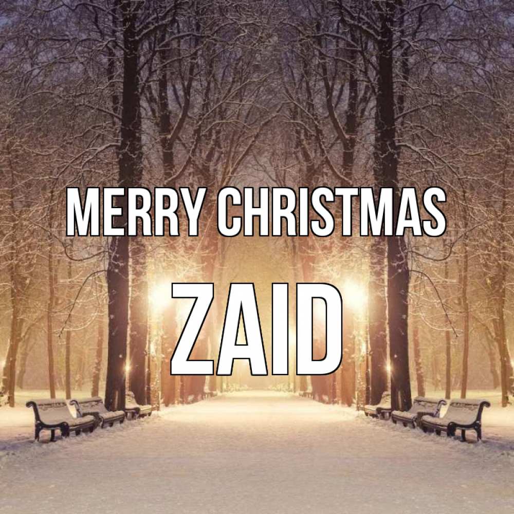 Greetings card с именем, Zaid Merry Christmas зима, парк, фонарь, лес Greetings with text for free download 