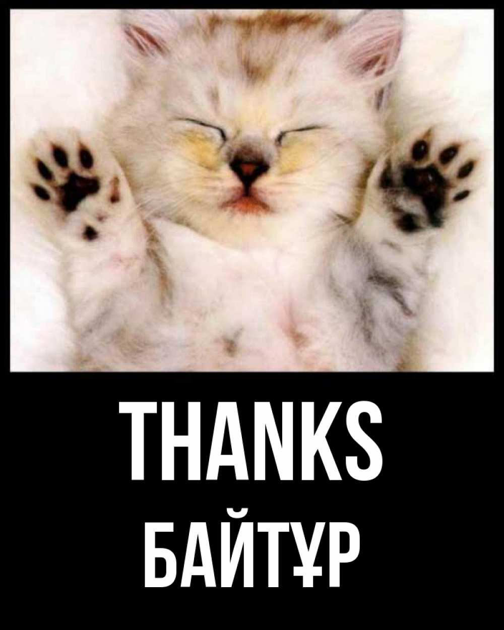 Greetings card с именем, Байтұр Thanks маленький котенок Greetings with text for free download 
