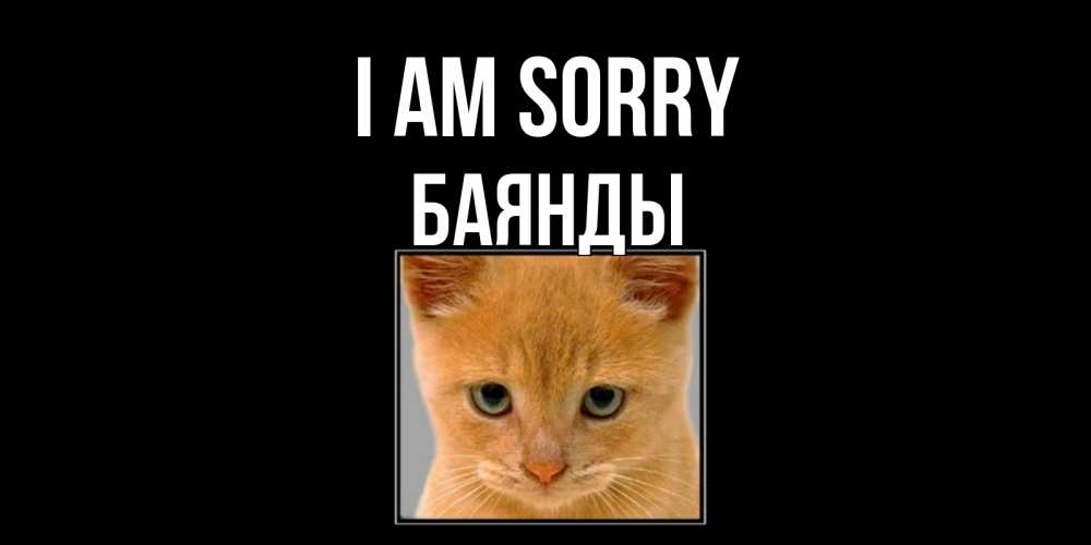 Greetings card с именем, Баянды I am sorry рыжий грустный кот просит прощения Greetings with text for free download 