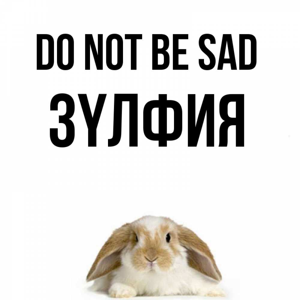 Greetings card с именем, ЗҮЛФИЯ Do not be sad коричнево белый заяц с большими ушками Greetings with text for free download 