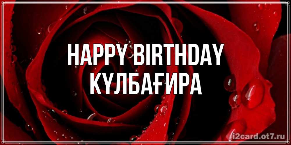 Greetings card с именем, КҮЛБАҒИРА Happy Birthday крупная бордовая роза Greetings with text for free download 