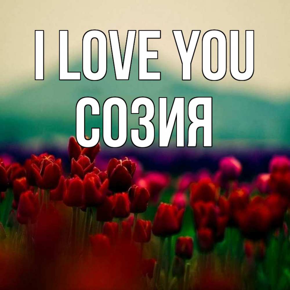 Greetings card с именем, Созия I love you тюльпаны 4 Greetings with text for free download 