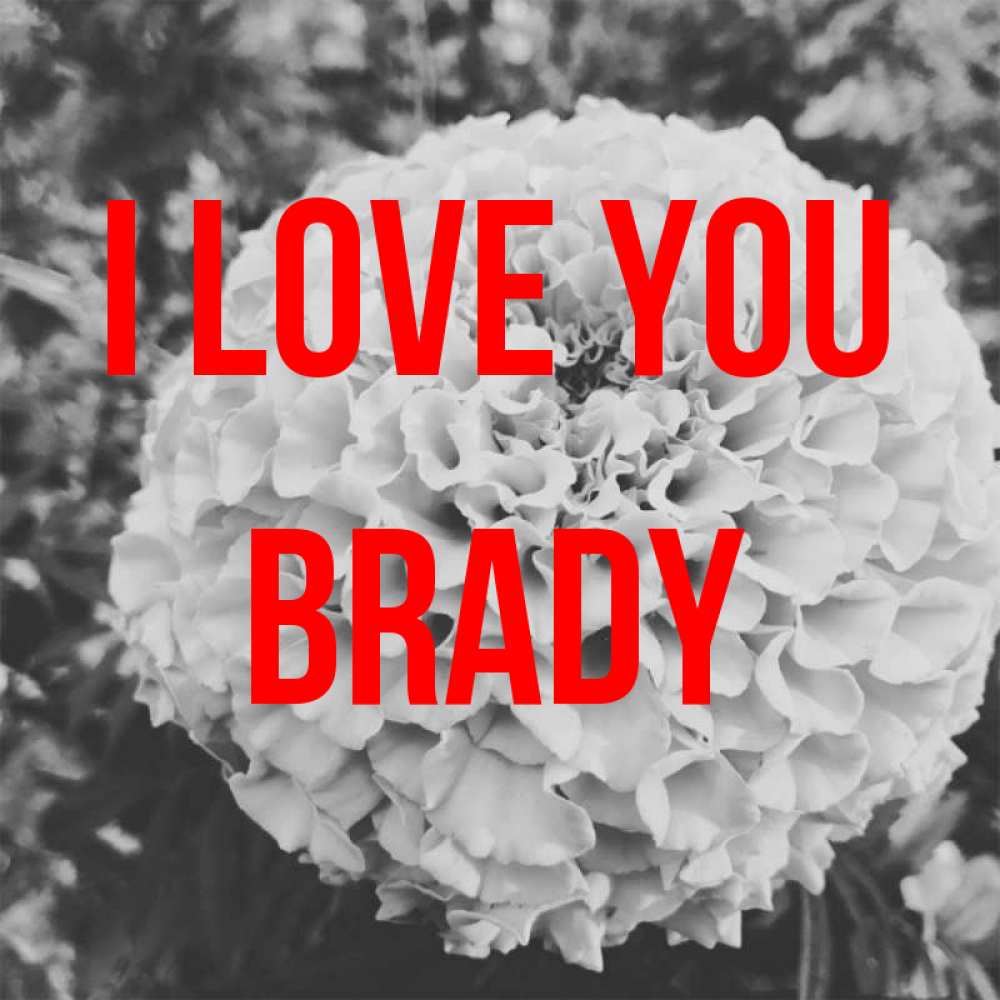 Greetings card с именем, Brady I love you подпись Greetings with text for free download 