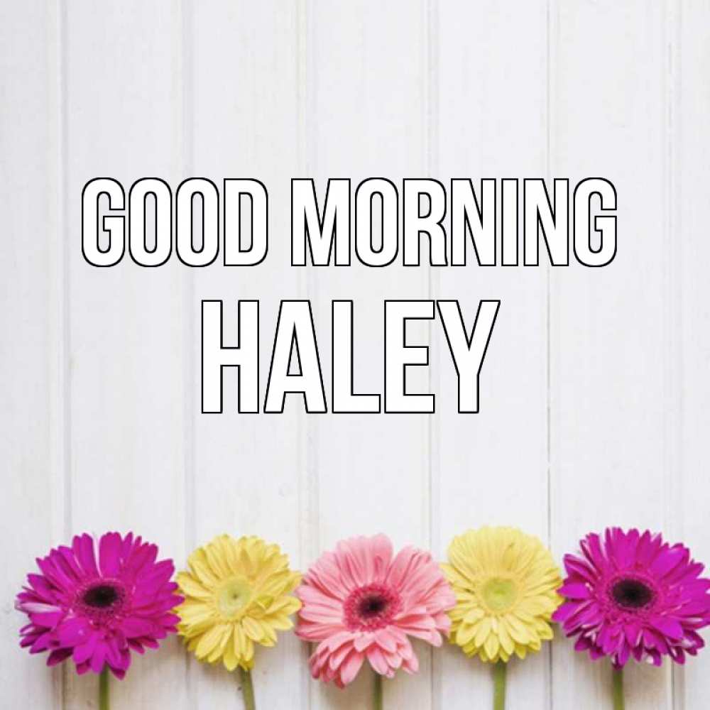 Greetings card с именем, Haley Good morning красный желтый и розовый цветок Greetings with text for free download 