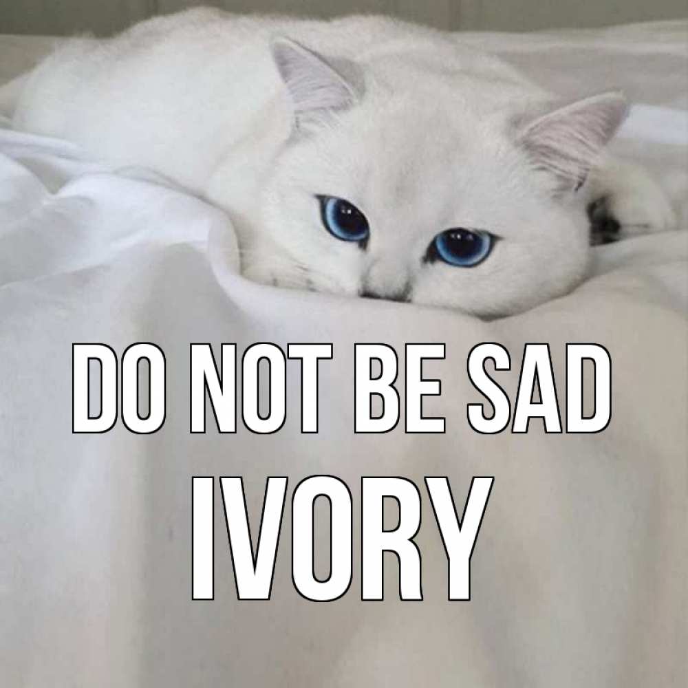 Greetings card с именем, Ivory Do not be sad белый кот с голубыми глазами на белоснежной кровати Greetings with text for free download 